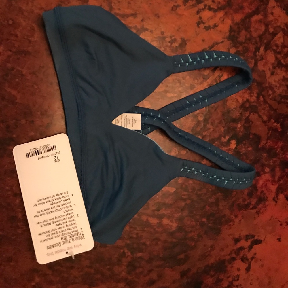 Skye Blue Sports Bra